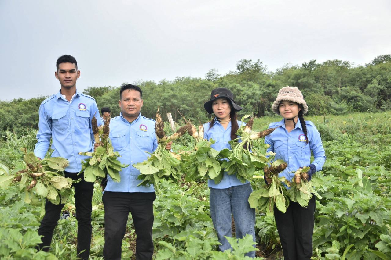 ក្រុមការងារស​.ស.យ.ក ខេត្តប៉ៃលិន បាននាំគ្នាចុះ​ជួយប្រមូល​កសិផល​ប្រជាពលរ​ដ្ឋនៅស្រុក​សាលាក្រៅ